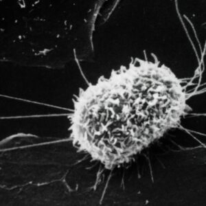 Basics of Cell Biology