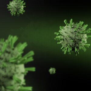 Introduction to Cell and Gene Therapy